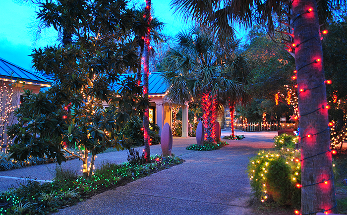 holiday light safari december 7 8 14 23 2018 530 830 pm last admission 730 pm - Christmas Lights At The Zoo holiday light safari december 7 8 14 23 2018 530 830 pm last admission 730 pm - Christmas Lights At The Zoo