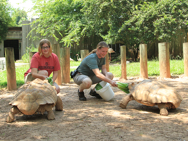 Internships Alexandria Zoo