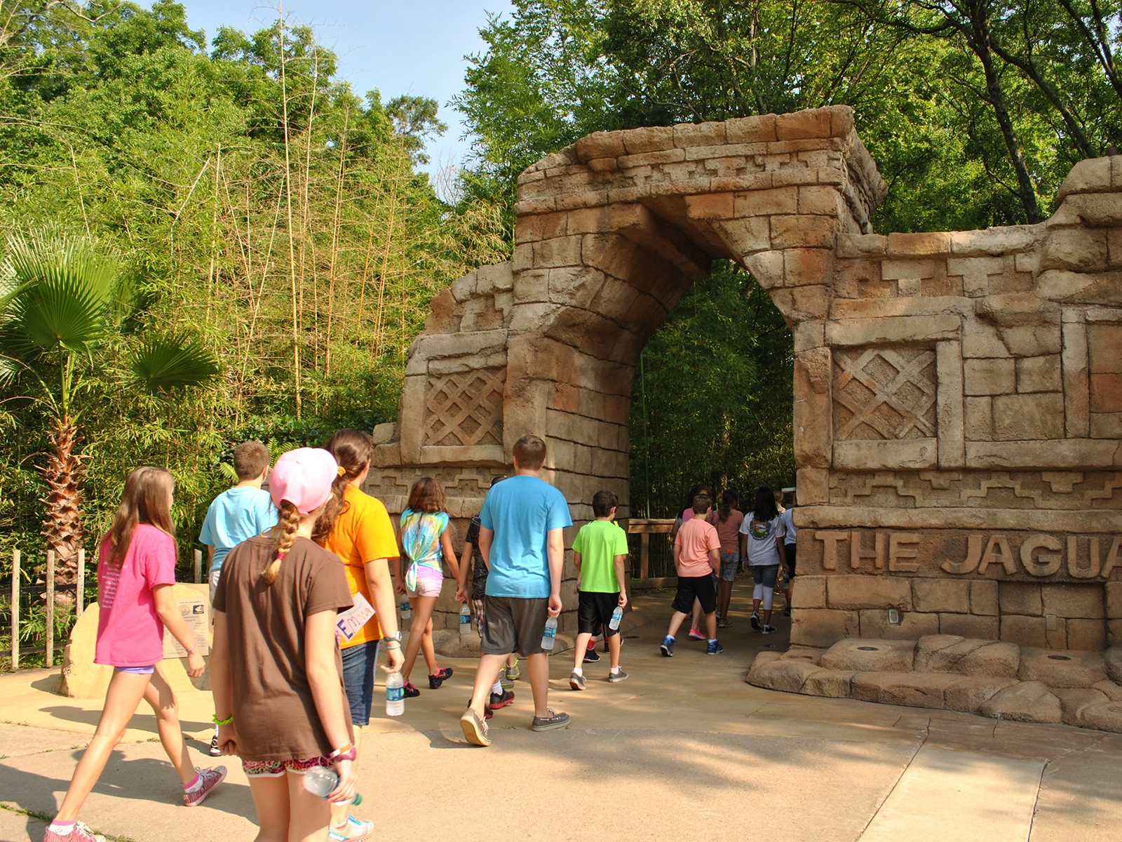students walking in zoo