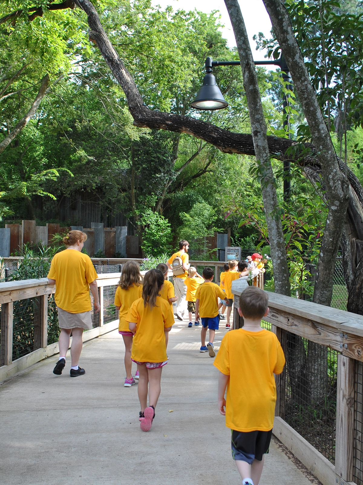 students walking through zoo