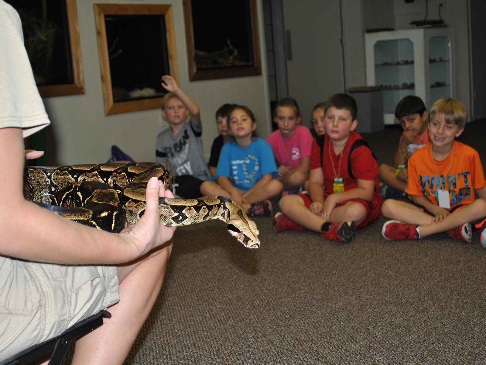 students looking at snake