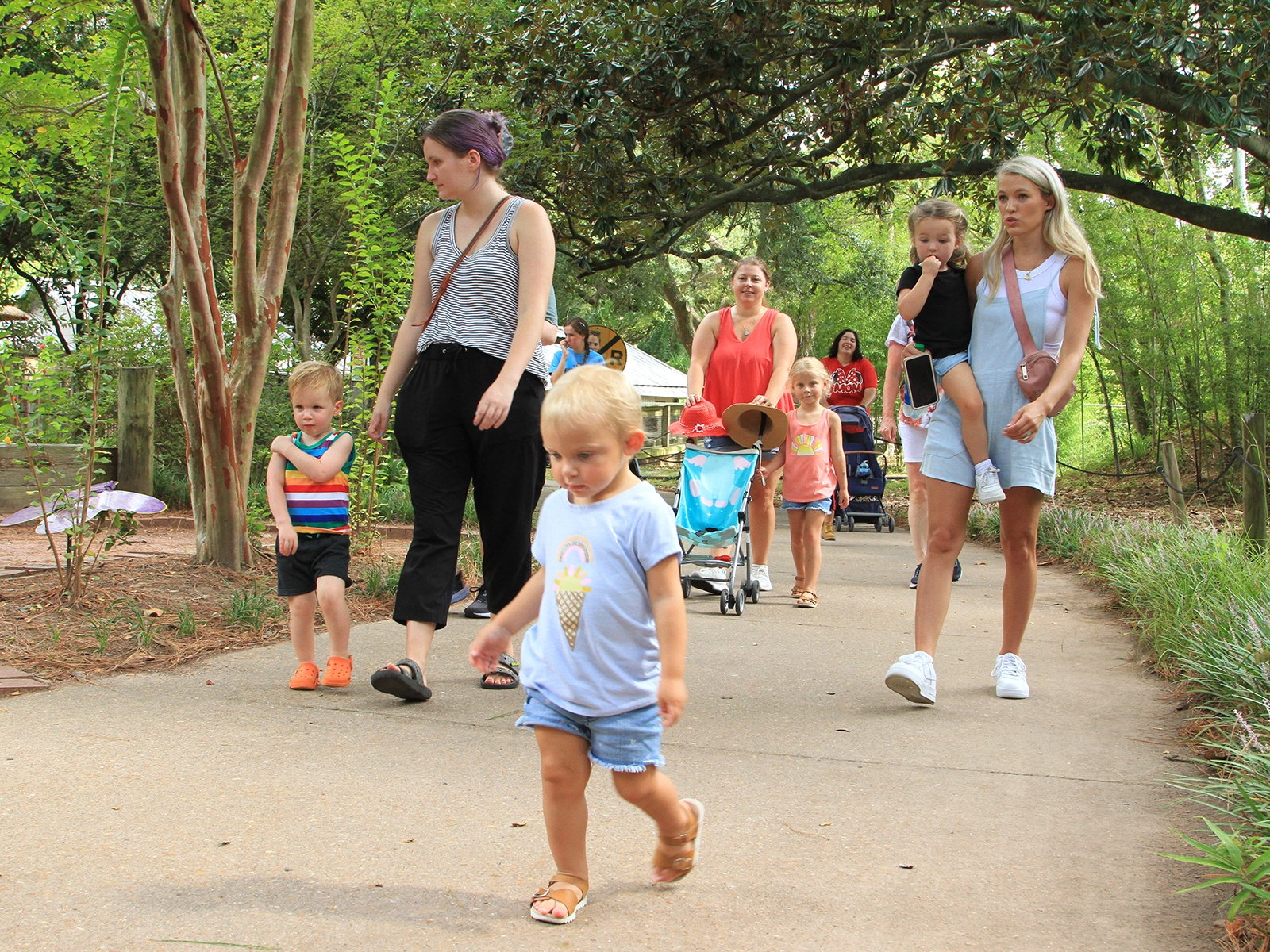 Stroller Safari group walking in zoo