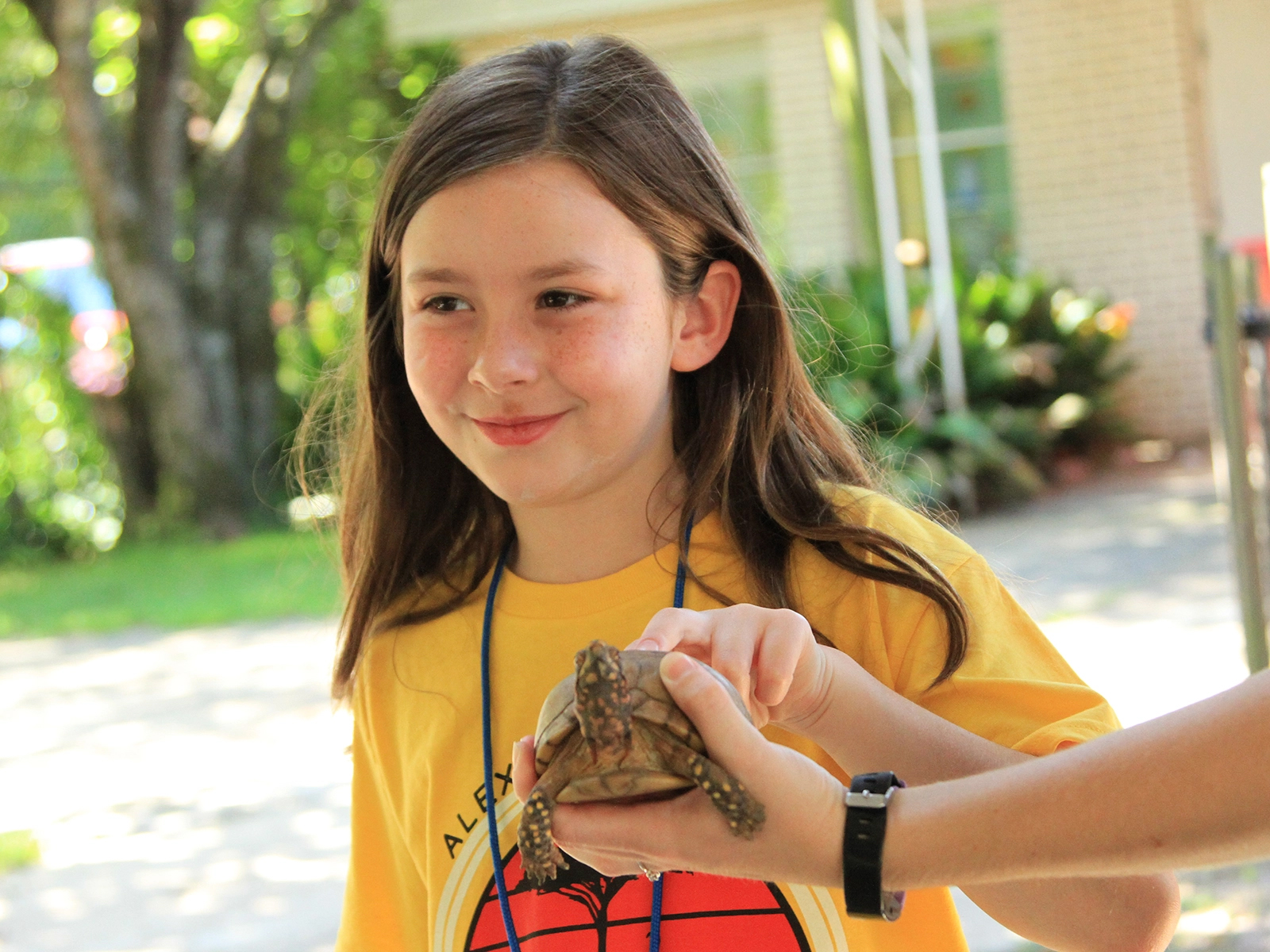 girl with box turtle