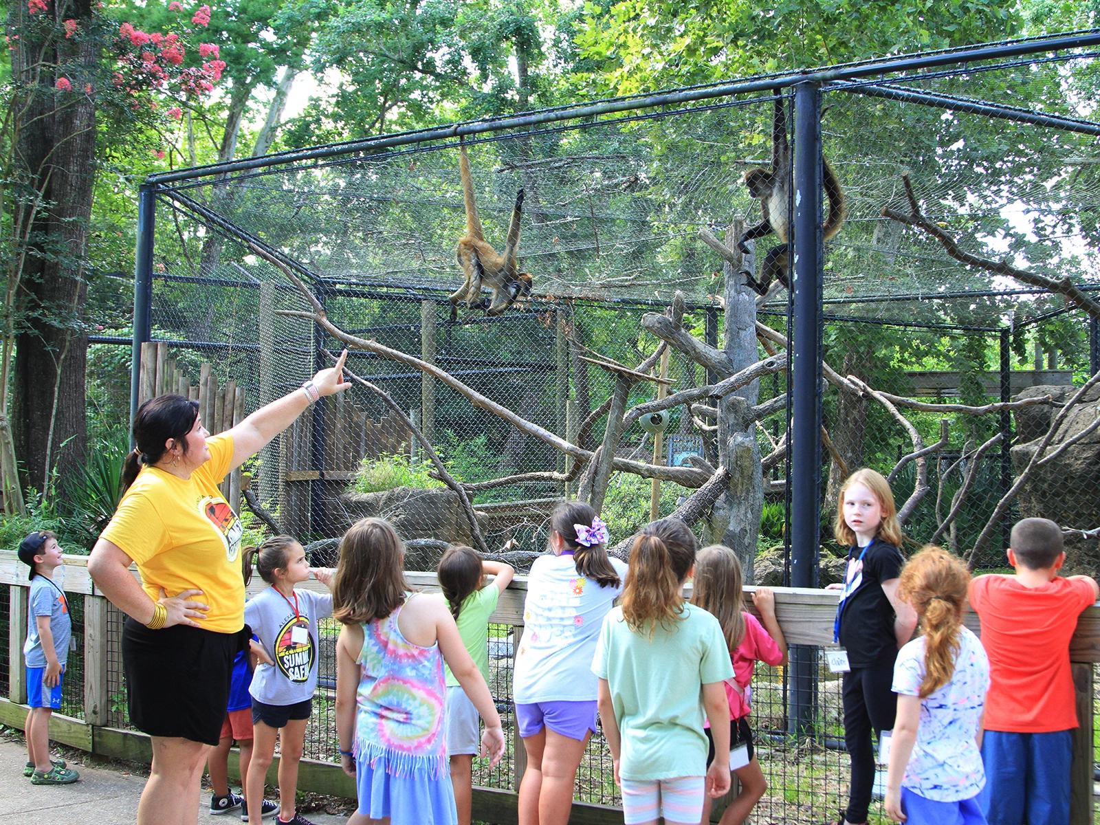summer safari educator with class