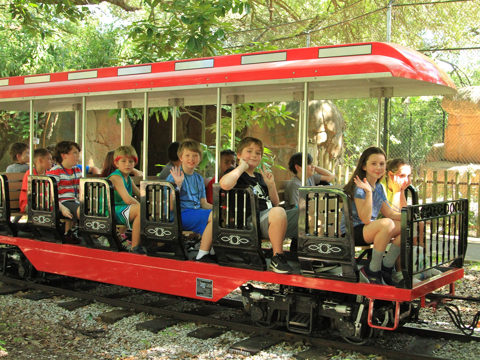 summer safari campers on train ride
