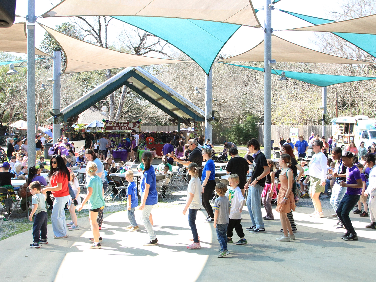 MArdi Gras Party guests dancing