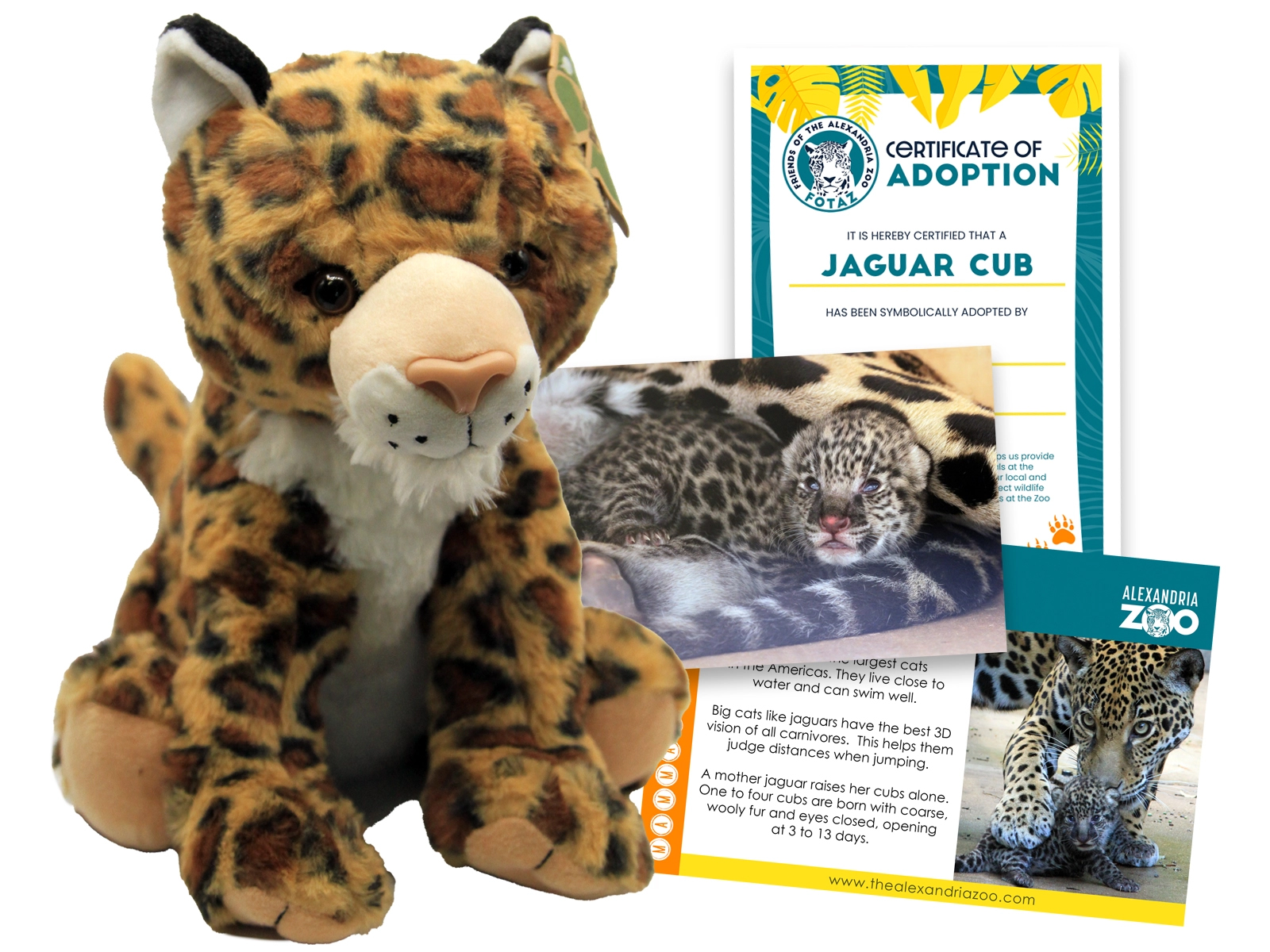 adopt an animal jaguar cub items