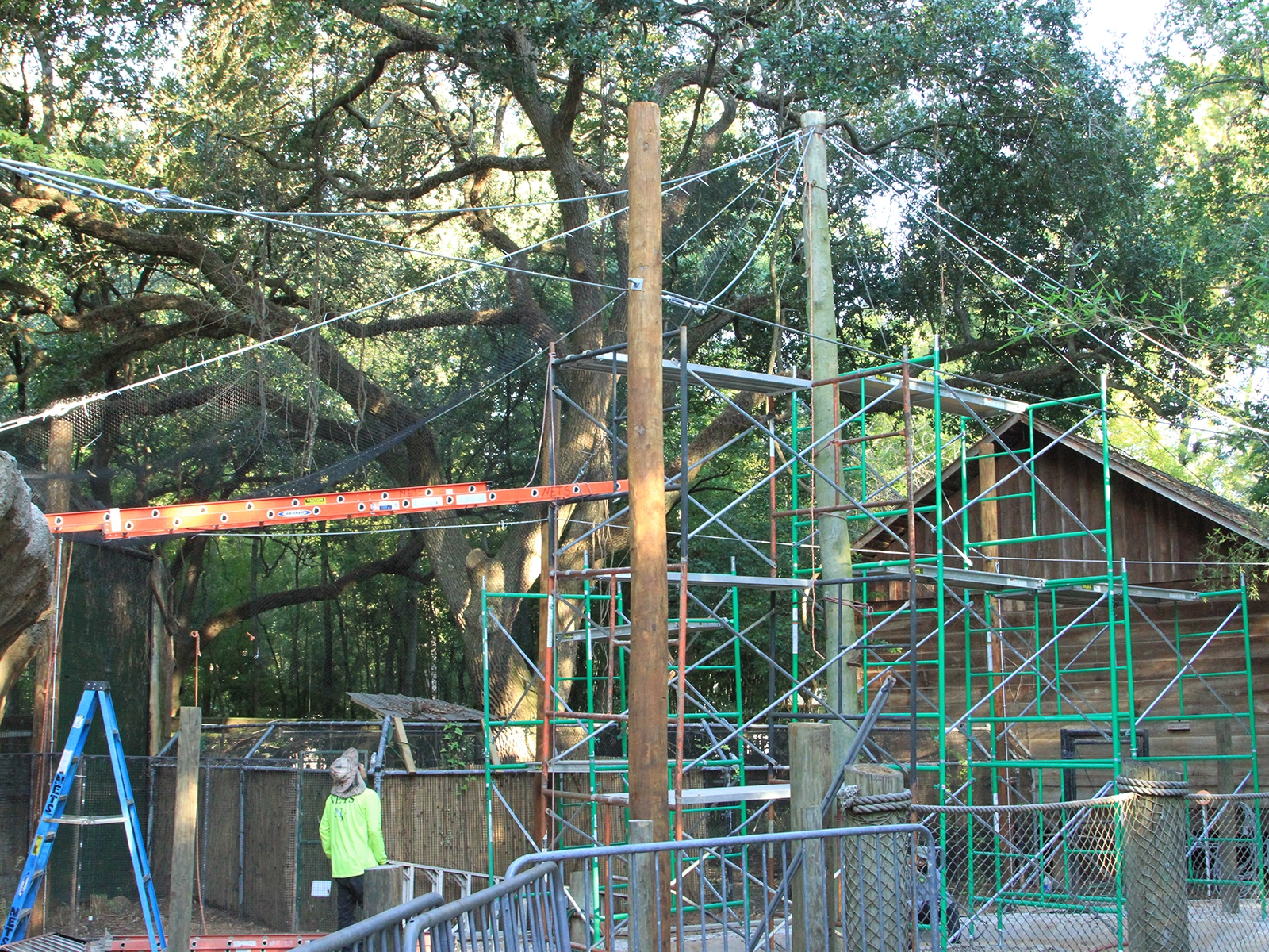 construction of Louisiana Habitat flight cage