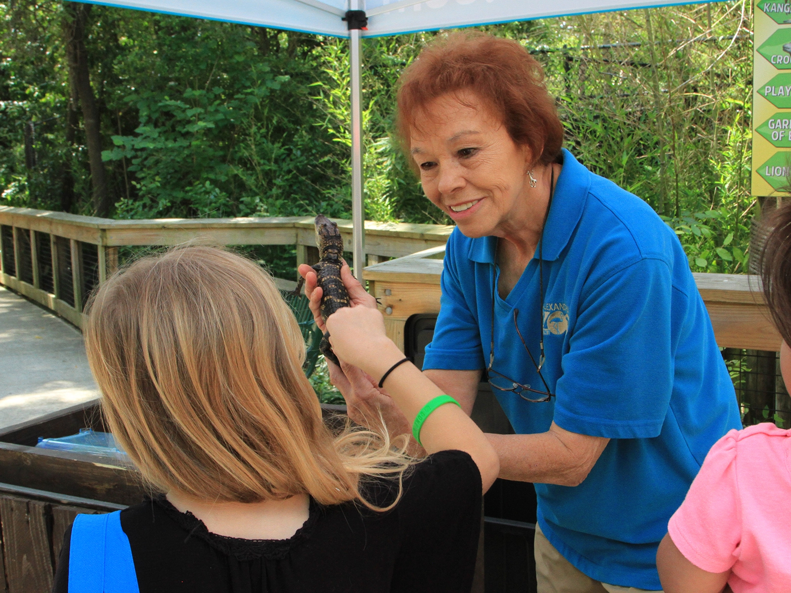 volunteer with alligator animal ambassador