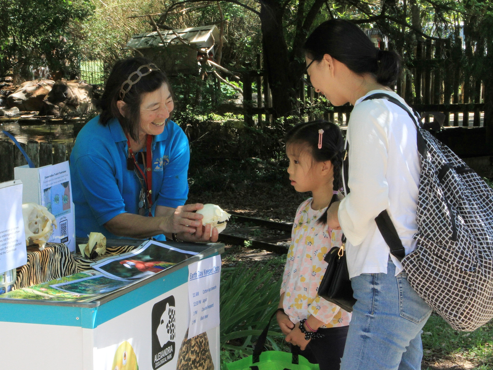 volunteer showing animal biofacts to guests