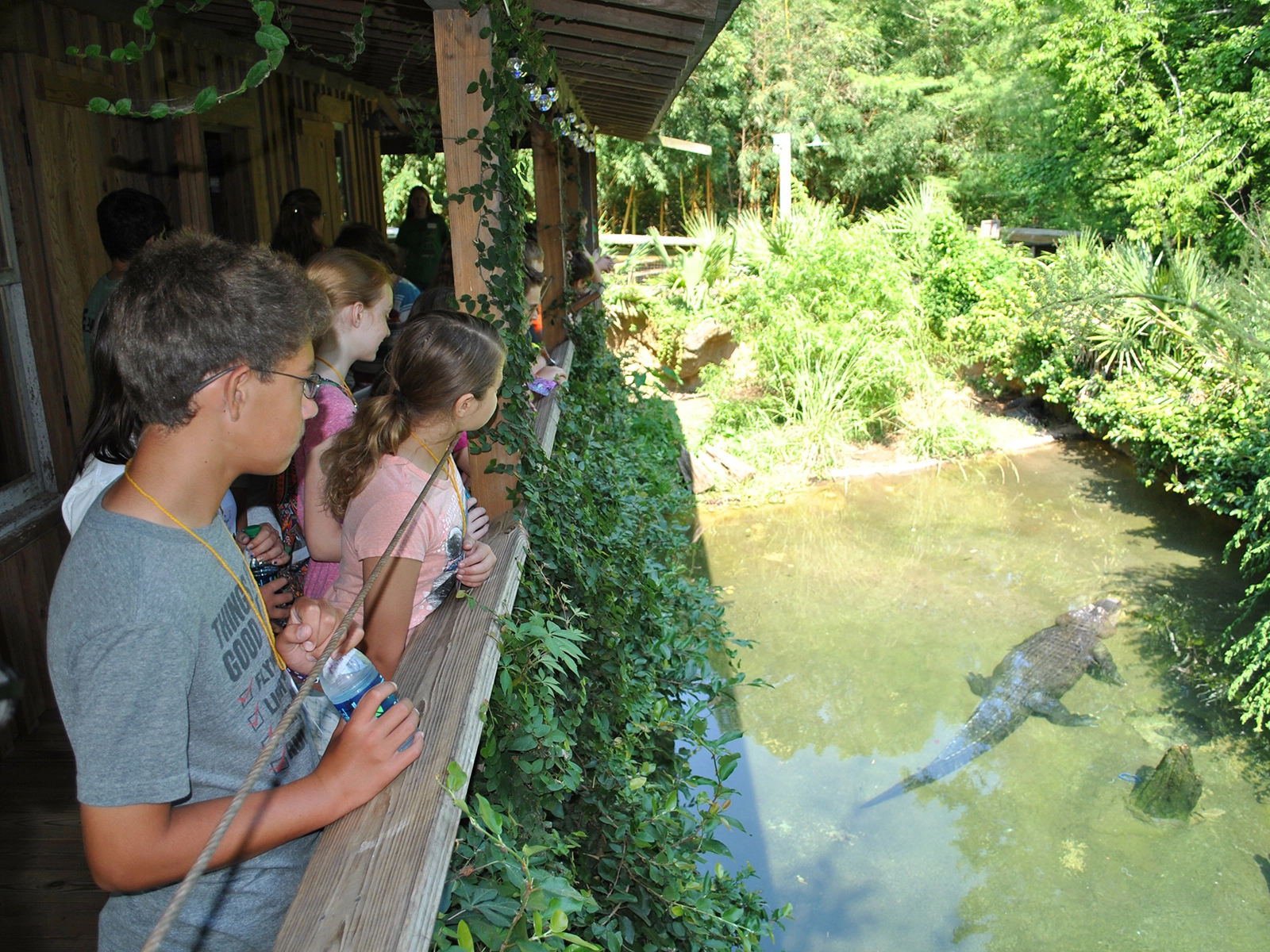 group at Cajun Cabin overlooking alligator habitat