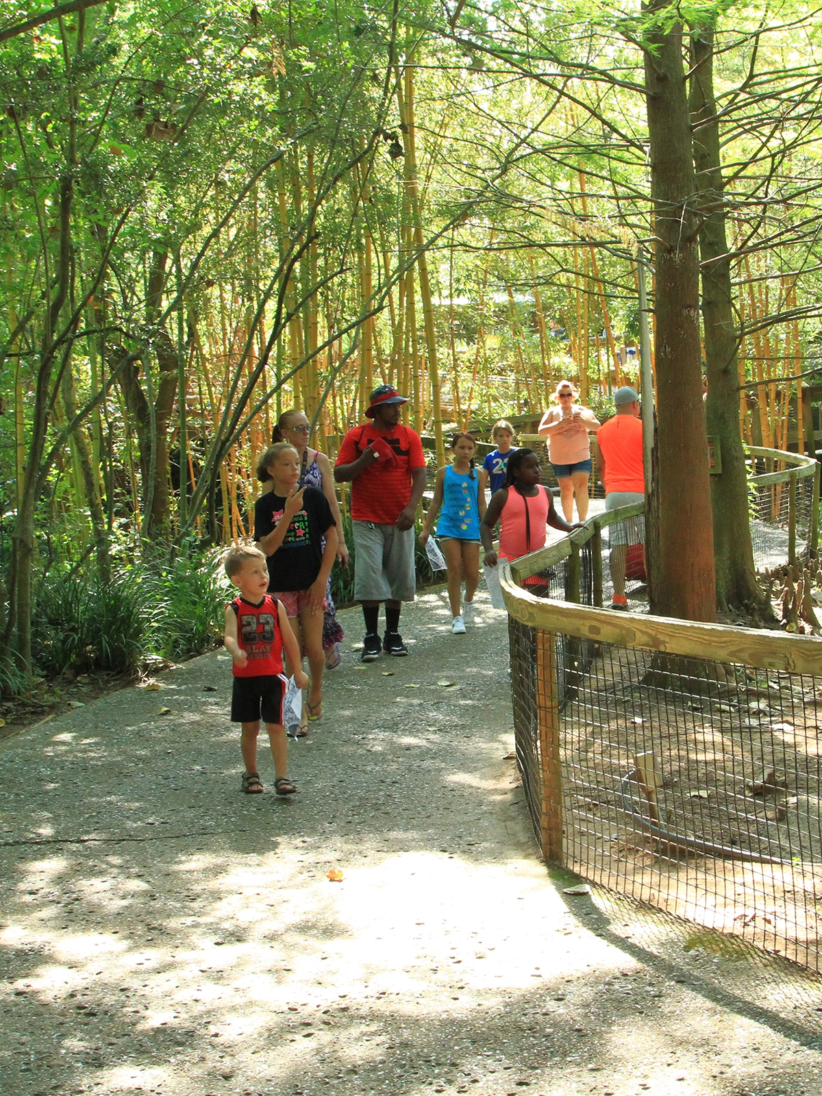 group walking through Louisiana Habitat