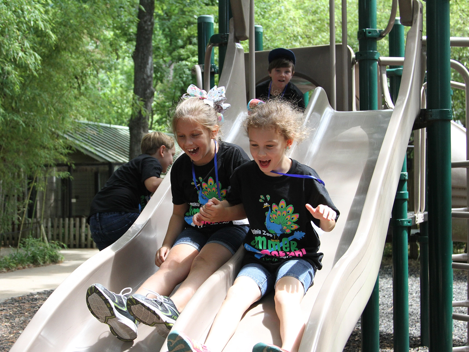 kids going down slide