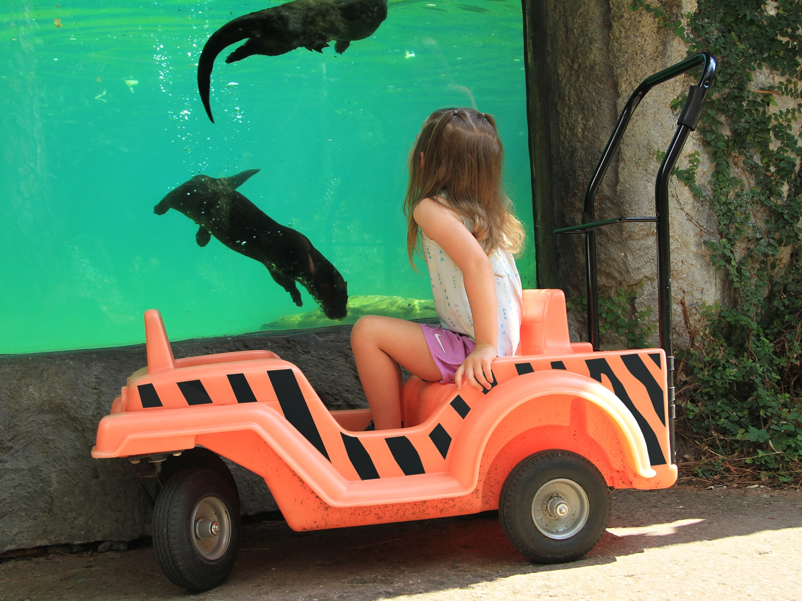 girl in stroller in front of otter viewing window