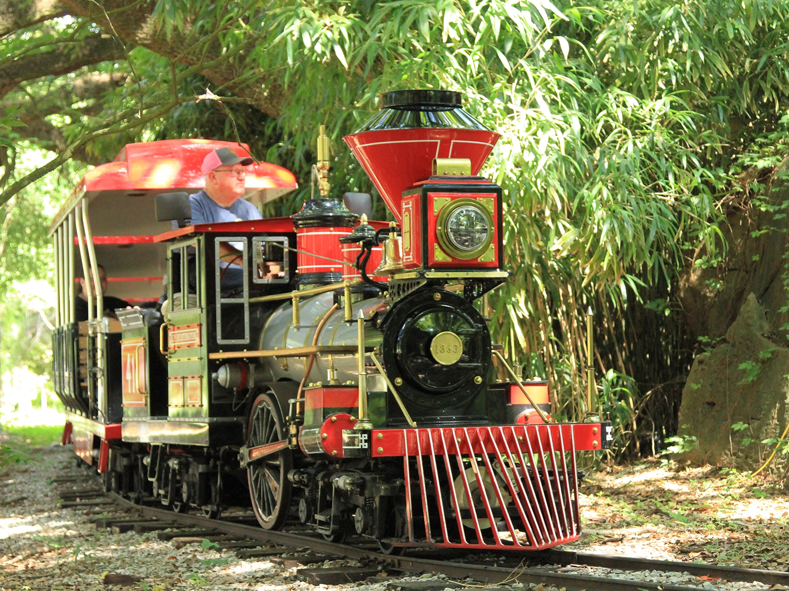 zoo train ride