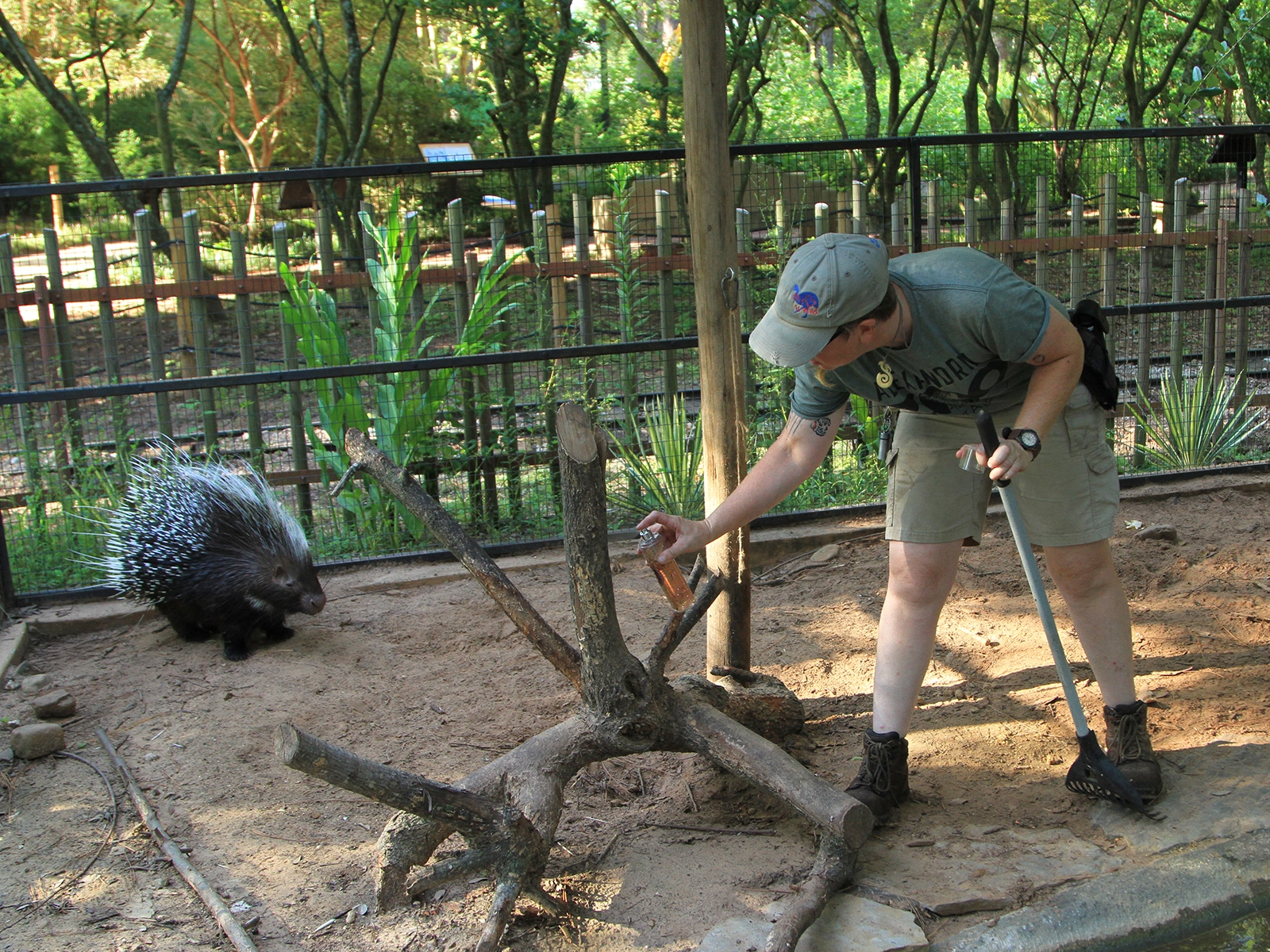 keeper spraying perfume for scensory enrichment