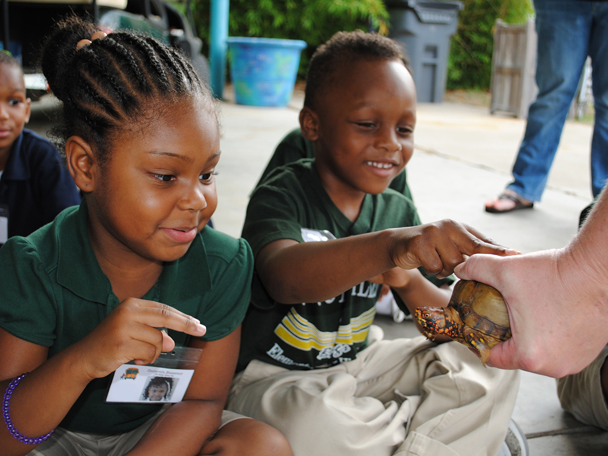 students with box turtle