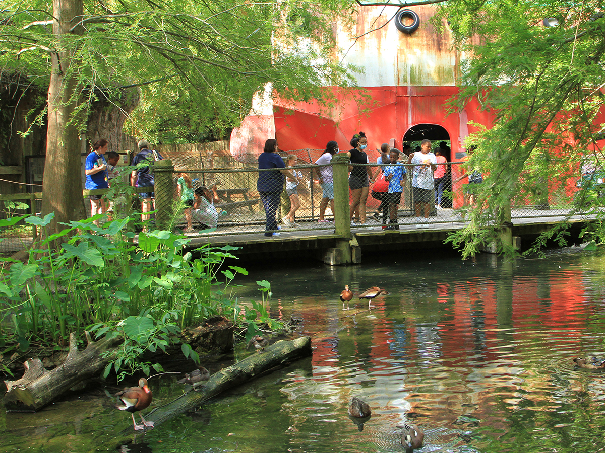 class looking at pond