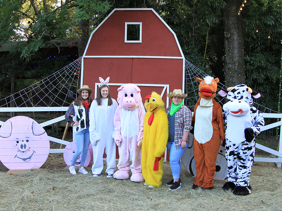 barnyard costumed characters