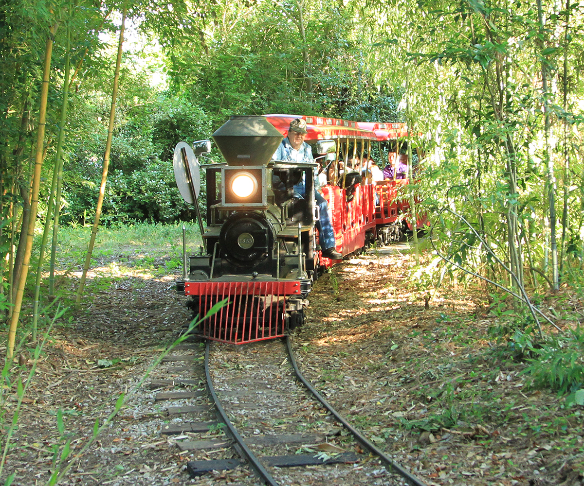 zoo train ride
