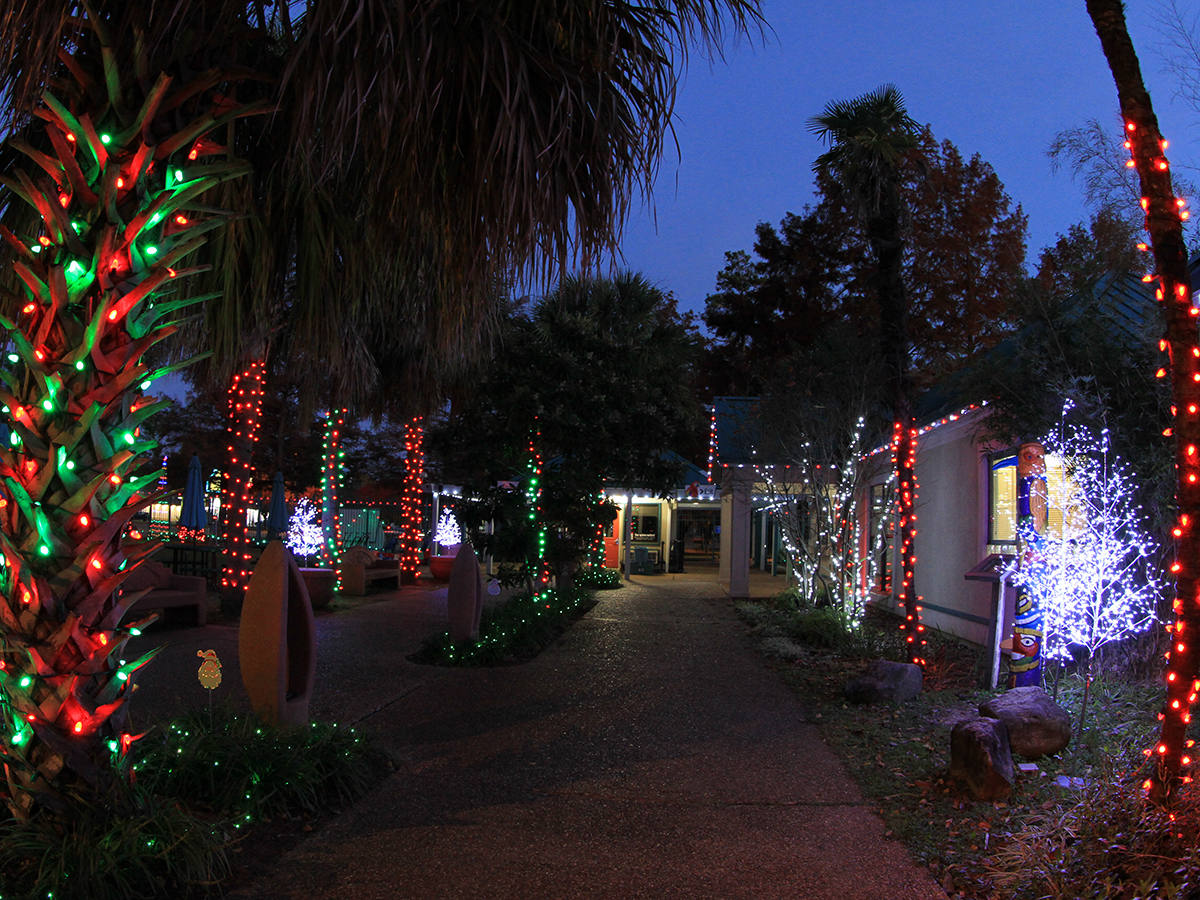 Alexandria La Zoo Christmas Lights Shelly Lighting