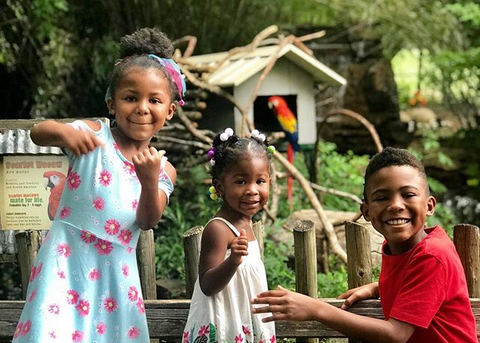 kids and scarlet macaw