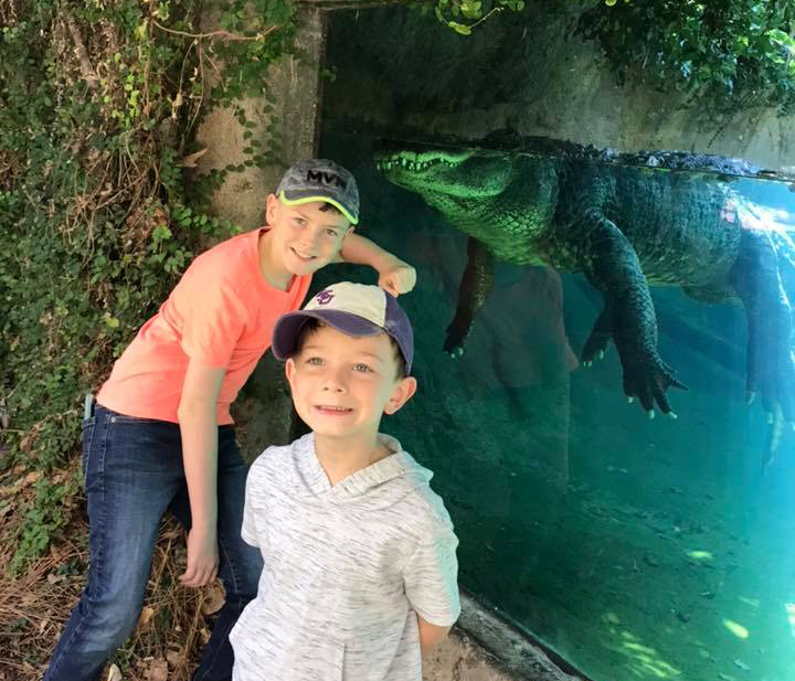 kids and American alligator