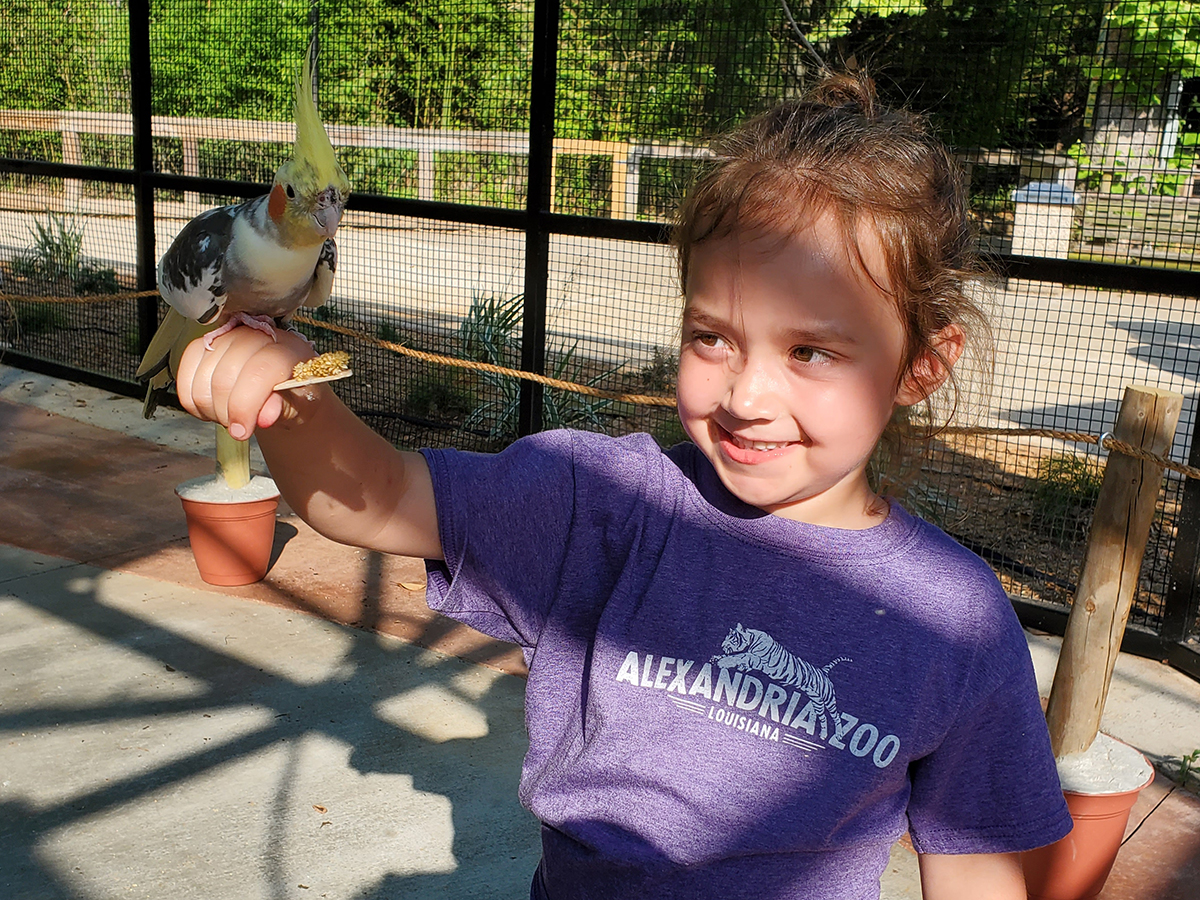 girl feeding cockatiel