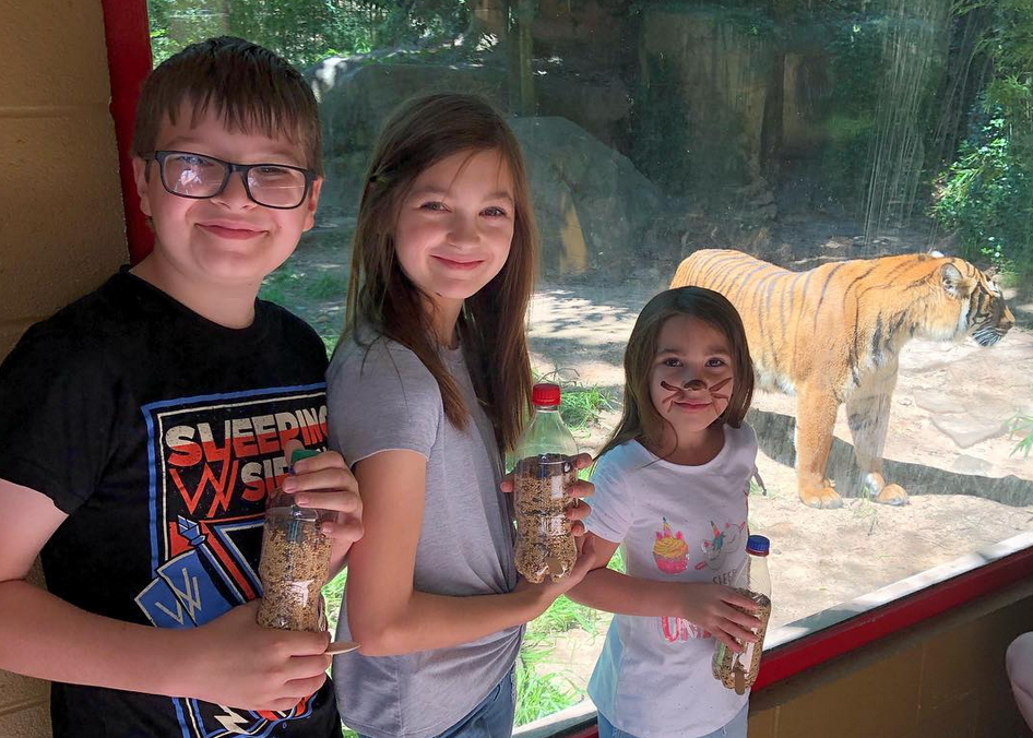 kids and American alligator