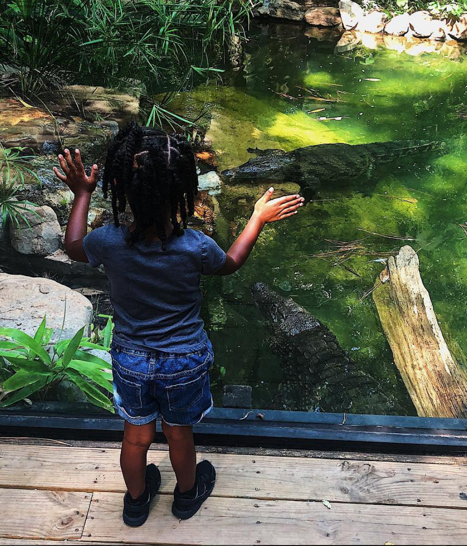 kid and Nile crocodile