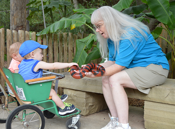 animal encounter with snake