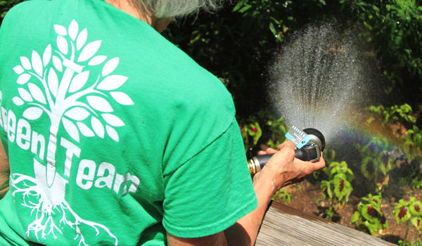 watering plants